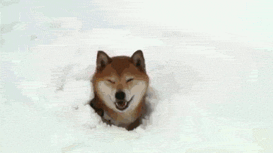 HotNewBreak GIFs of the Week 2-27-2019 #2