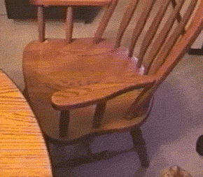 HotNewBreak GIFs of the Week 2-27-2019 #15