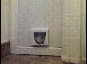 HotNewBreak GIFs of the Week 2-27-2019 #7