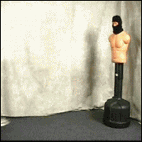 HotNewBreak GIFs of the Week 2-27-2019 #19