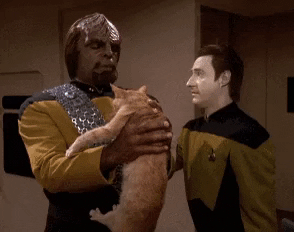 HotNewBreak GIFs of the Week 3-27-2019 #5