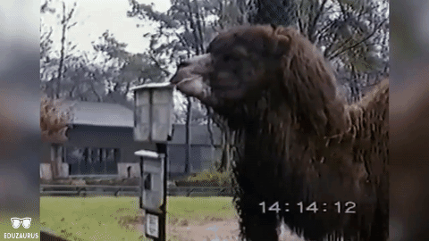 HotNewBreak GIFs of the Week 4-10-2019 #6