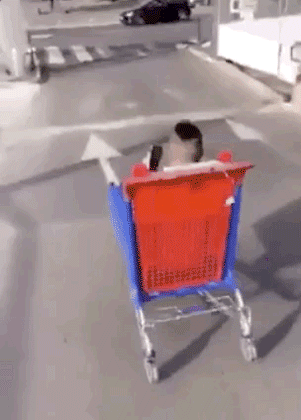 HotNewBreak GIFs of the Week 5-2-2019 #10