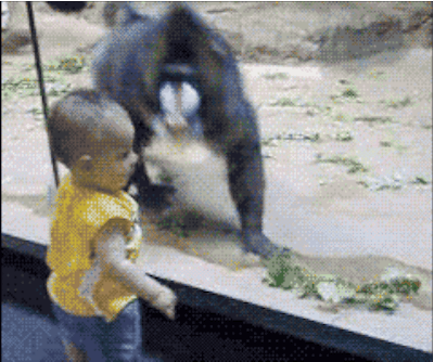 HotNewBreak GIFs of the Week 5-22-2019 #5