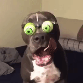 HotNewBreak GIFs of the Week 5-8-2019 #6