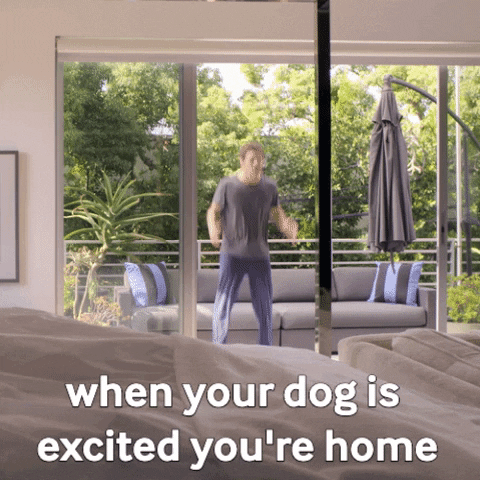 HotNewBreak GIFs of the Week 5-8-2019 #7