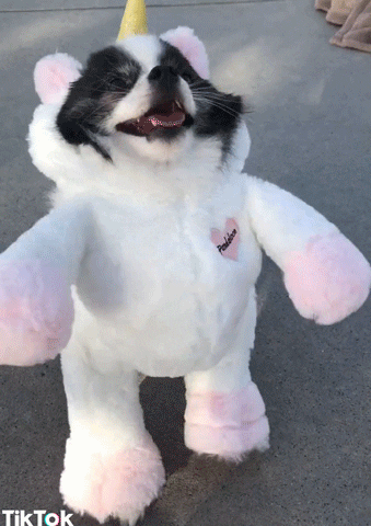 HotNewBreak GIFs of the Week 5-8-2019 #10