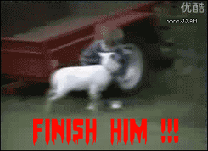 HotNewBreak GIFs of the Week 6-12-2019 #3