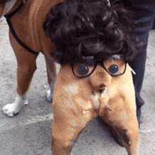 HotNewBreak GIFs of the Week 7-10-2019 #6