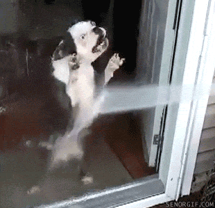 HotNewBreak GIFs of the Week 7-10-2019 #7