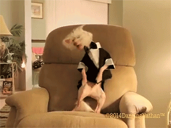 HotNewBreak GIFs of the Week 7-10-2019 #15