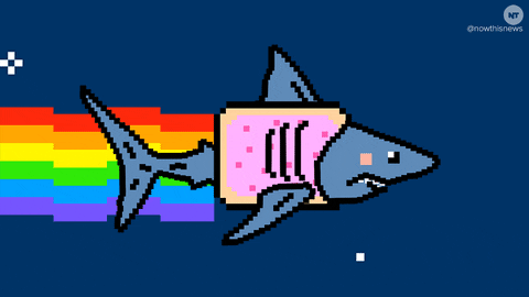 HotNewBreak GIFs Shark Week Edition #4