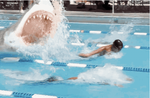 HotNewBreak GIFs Shark Week Edition #8