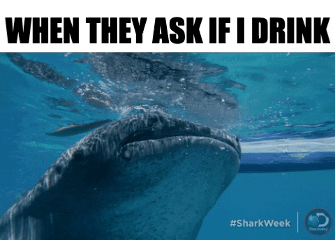 HotNewBreak GIFs Shark Week Edition #11