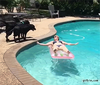 HotNewBreak GIFs Shark Week Edition #12