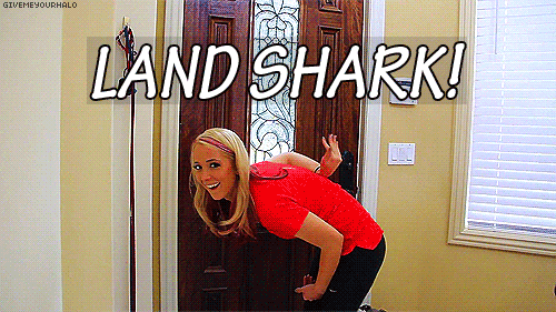 HotNewBreak GIFs Shark Week Edition #14