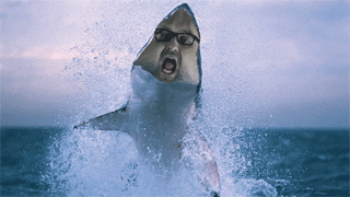 HotNewBreak GIFs Shark Week Edition #15