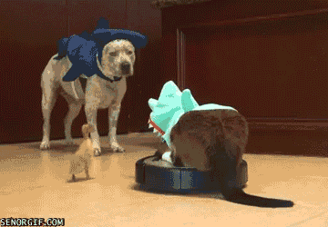 HotNewBreak GIFs Shark Week Edition #16