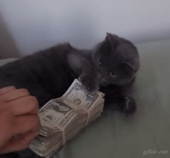 HotNewBreak GIFs of the Week 8-14-2019 #7