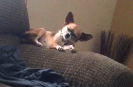 HotNewBreak GIFs of the Week 8-21-2019 #15