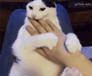 HotNewBreak GIFs of the Week 8-28-2019 #2