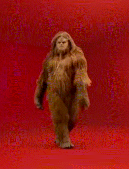 HotNewBreak GIFs of the Week 8-8-2019 #6