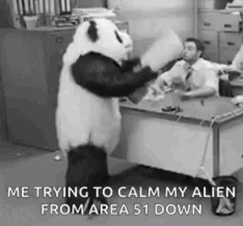 HotNewBreak GIFs of the Week Area 51 Edition #11