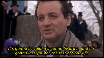 HotNewBreak GIFs of the Week Groundhog Day Edition #7