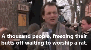 HotNewBreak GIFs of the Week Groundhog Day Edition #8