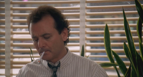 HotNewBreak GIFs of the Week Groundhog Day Edition #14
