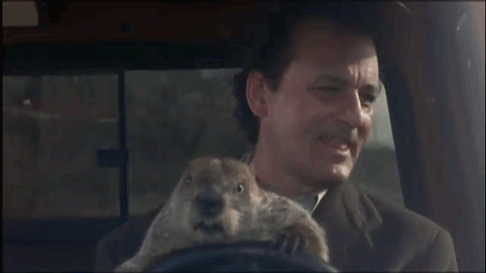 HotNewBreak GIFs of the Week Groundhog Day Edition #20