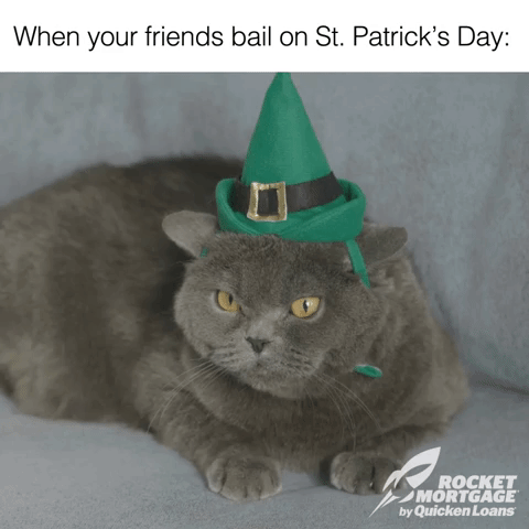 HotNewBreak GIFs of the Week St Patricks Day Edition #2