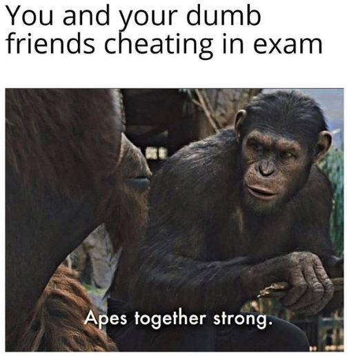 HotNewBreak Memes of the Week 7-1-2019 #1