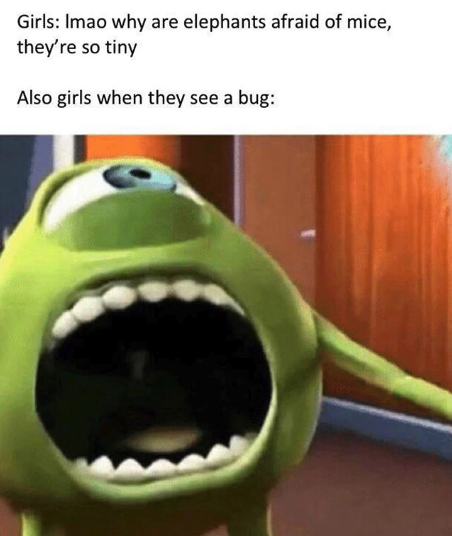 HotNewBreak Memes of the Week 7-8-2019 #17