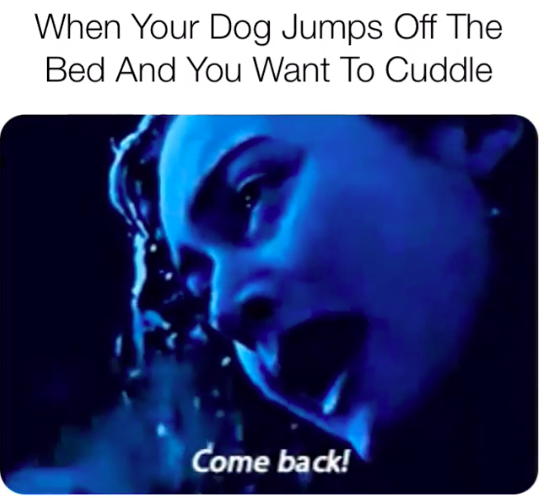 HotNewBreak Monday Memes 1-14-2019 #3