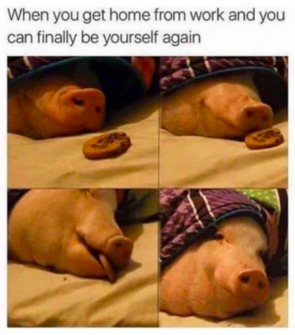 HotNewBreak Monday Memes 1-14-2019 #16