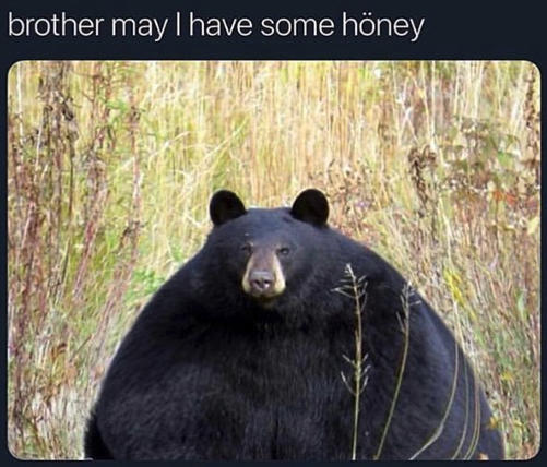 HotNewBreak Monday Memes 1-28-2019 #15