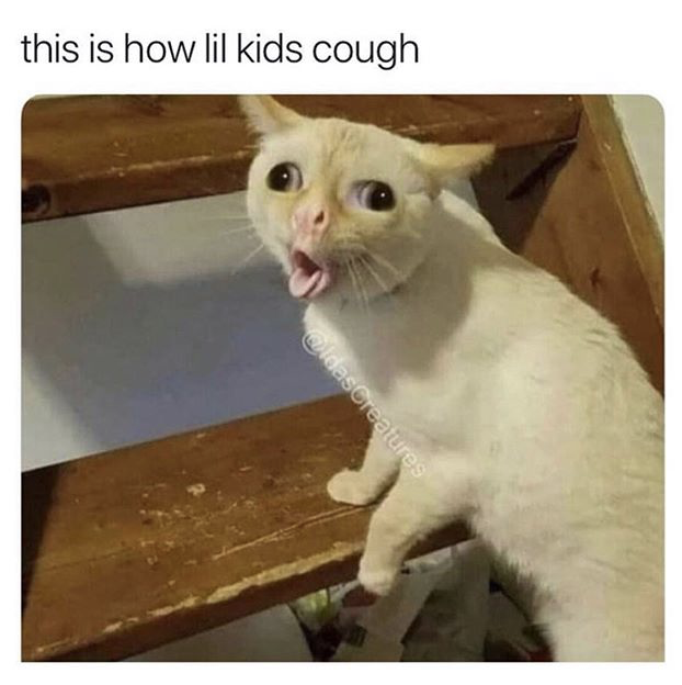 HotNewBreak Monday Memes 12-10-2018 #5