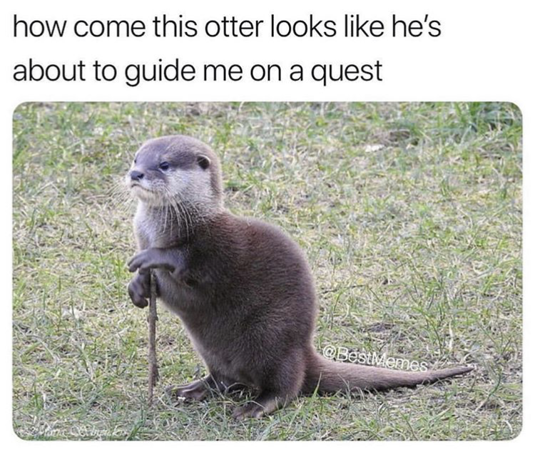 HotNewBreak Monday Memes 12-3-2018 #5
