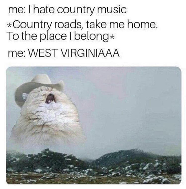 HotNewBreak Monday Memes 12-3-2018 #9