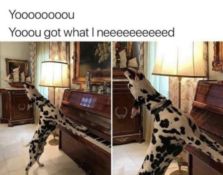HotNewBreak Monday Memes 2-11-2019 (2) #6