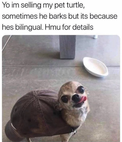 HotNewBreak Monday Memes 2-18-2019 #15