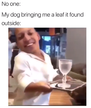 HotNewBreak Monday Memes 3-11-2019 #15