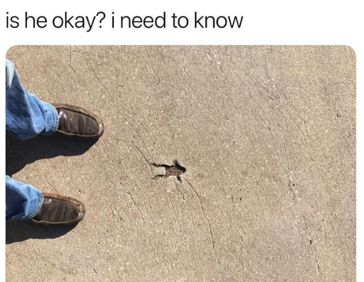 HotNewBreak Monday Memes 3-11-2019 #16