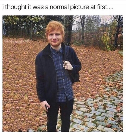 HotNewBreak Monday Memes 3-4-19 #15