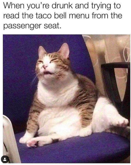 HotNewBreak Monday Memes 4-22-2019 #15