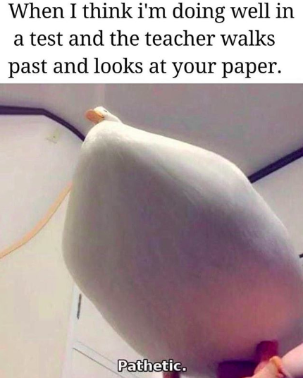 HotNewBreak Monday Memes 4-8-2019 #13