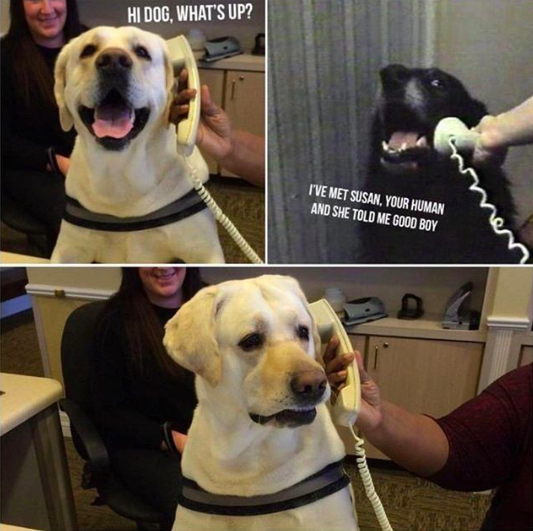 HotNewBreak Monday Memes 4-8-2019 #14