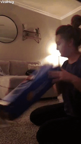 HotNewBreak GIFs of the Week 5-15-2019 #2