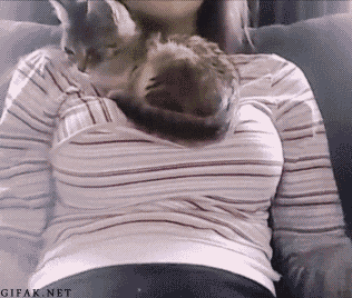 HotNewBreak GIFs of the Week 5-15-2019 #14